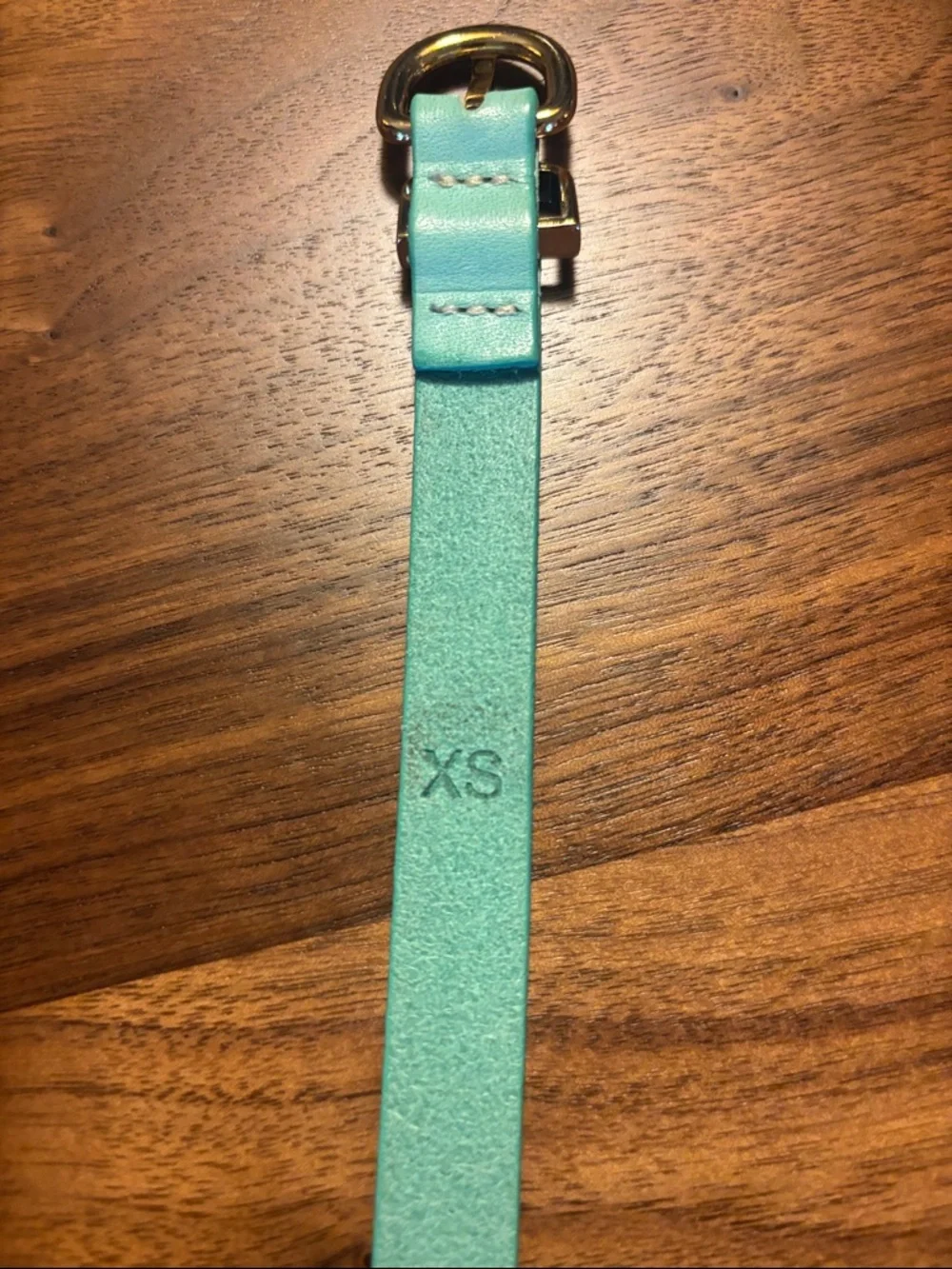 J. Crew Turqoise Skinny Leather Belt with Gold-Tone Buckle - XS - Picture 5 of 7